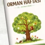 Okul öncesi çocukları doğada etkinlik yaparken