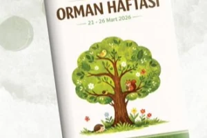 Okul öncesi çocukları doğada etkinlik yaparken
