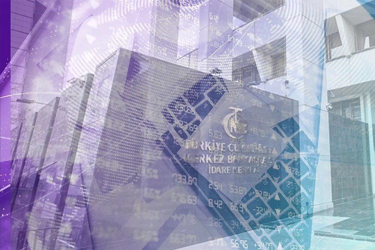 Merkez Bankası'nın ödeme ve elektronik para yönetmeliğinde yaptığı değişiklikleri gösteren görsel