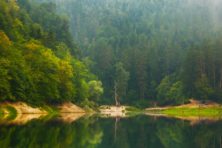 Doğa Koruma ve Milli Parklar Genel Müdürlüğü'nde yeni dönem, yetkiler ve cezalar hakkında bilgi