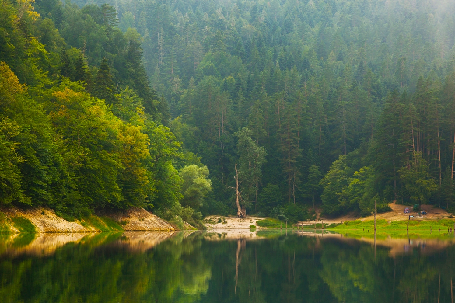 Doğa Koruma ve Milli Parklar Genel Müdürlüğü'nde yeni dönem, yetkiler ve cezalar hakkında bilgi