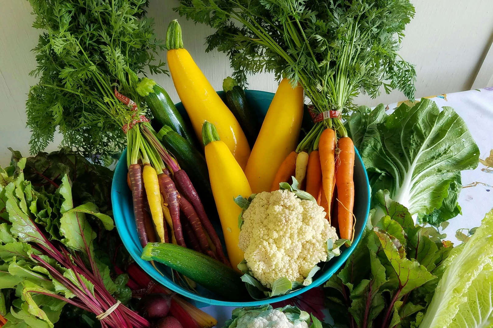 Toksoplazma enfeksiyonu nedeniyle göz sağlığı tehdit altında olan bir bireyin temsili görseli.
