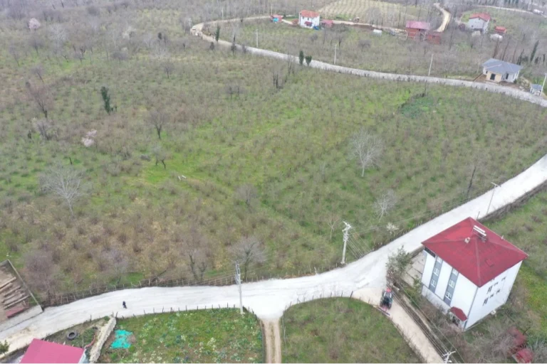 Ordu Büyükşehir Belediyesi tarafından Kumru ilçesinde yürütülen yol yapım çalışmalarından bir görünüm.