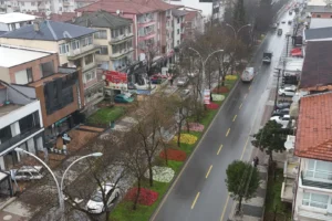 Sakarya Büyükşehir Belediyesi'nin bayram öncesi yaptığı temizlik ve peyzaj düzenleme çalışmalarıyla şehir çiçeklerle donatıldı.