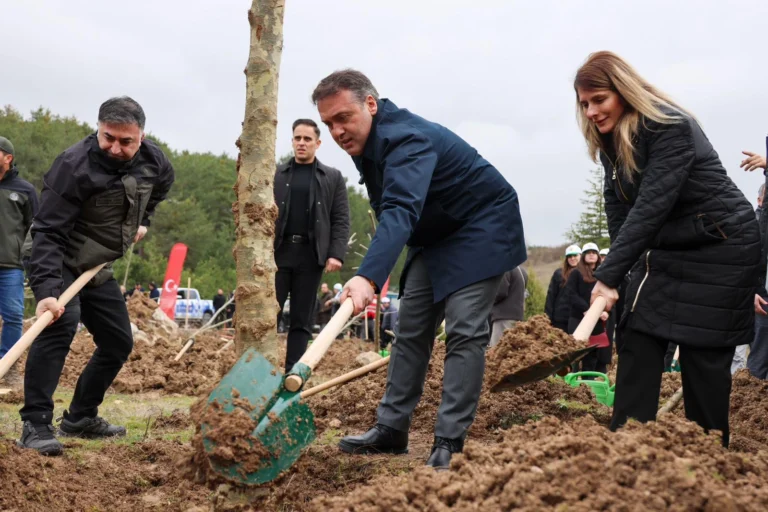 Bilecik'te Şeyh Edebali'nin 700. ölüm yıl dönümü anısına 700 çınar fidanı dikildi