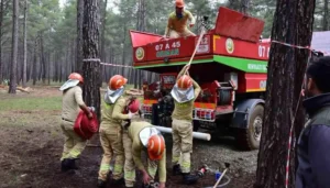 Antalya'da ormancılık yarışmalarında ekipler parkurlarda mücadele ediyor