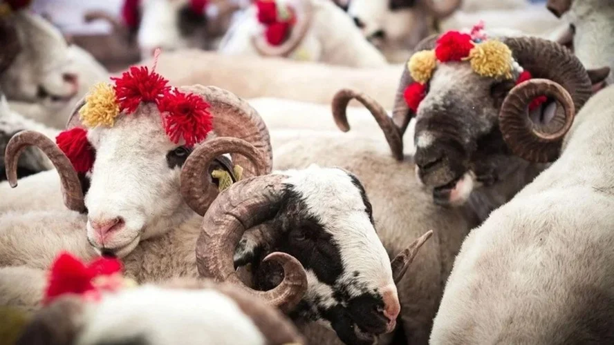 Kurban kesimi için vekalet ücretlerinin açıklandığına dair görsel