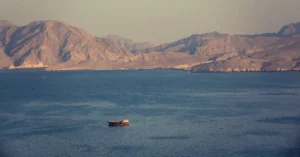 Hürmüz Boğazı'nda silahlı saldırıya uğrayan konteyner gemileri