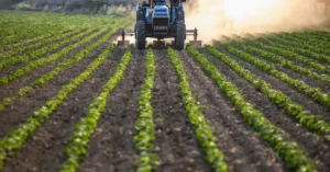 Türkiye'de yağışlar rekor seviyeye ulaştı, tarım için bereketli bir dönem yaşanıyor.