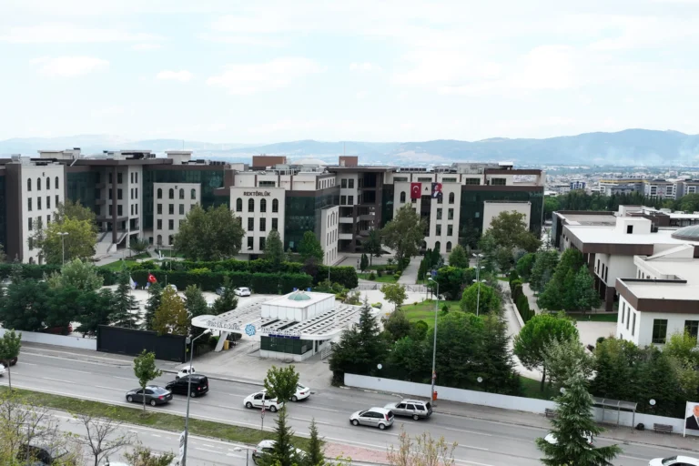 Bursa Teknik Üniversitesi'nin TÜBİTAK destekli matematik projesi, teknolojiye ışık tutan soyut kavramları inceliyor.