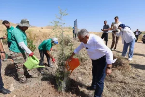 Kayseri Büyükşehir Belediyesi'nin çevre yatırımları ve yeşil alan çalışmaları