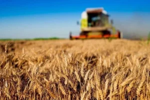 Tarım ve Orman Bakanlığı'ndan kırsal kalkınmaya 30 milyon TL'ye varan hibe desteği