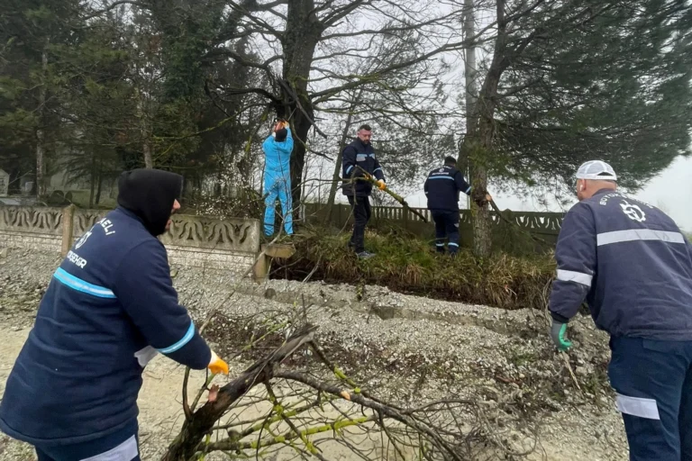 Kocaeli Büyükşehir Belediyesi'nin mezarlıklarda yürüttüğü bakım ve temizlik çalışmaları
