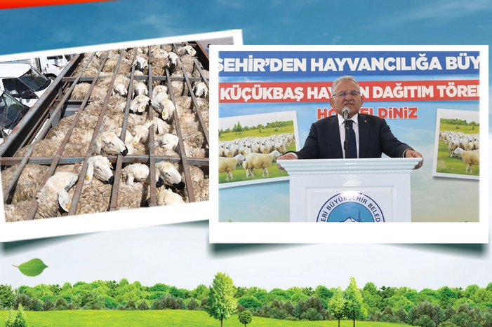 Kayseri'de uygulanan 'Koyunlar Artıyor, Meralar Şenleniyor' projesiyle küçükbaş hayvan varlığında büyük artış sağlandı.