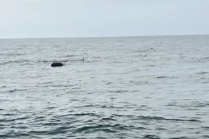 İğneada açıklarında SAS timleri tarafından imha edilen şüpheli mayın.