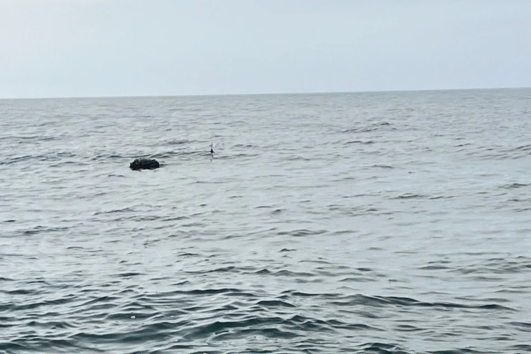 İğneada açıklarında SAS timleri tarafından imha edilen şüpheli mayın.