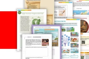 Milli Eğitim Bakanlığı tarafından hazırlanan öğrenme etkinlikleri setinin ikinci döngüsü tanıtımı