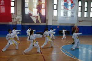 Maltepe'de karate kursunu tamamlayan öğrencilerin sertifika töreni