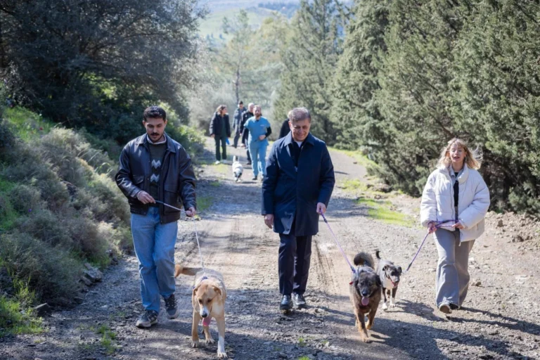 İzmir Büyükşehir Belediyesi'nden 4 Nisan Dünya Sokak Hayvanları Günü'nde 'Satın alma, sahiplen' çağrısı