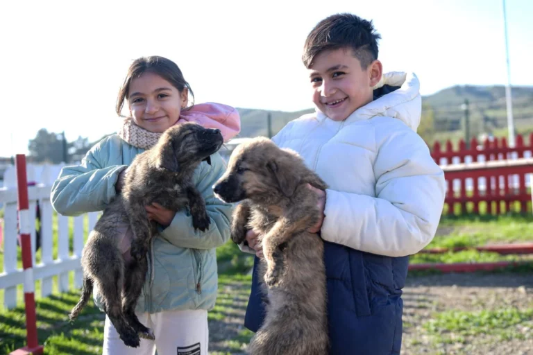 İzmir'de 'Patili Dostumuz' projesi kapsamında çocuklar ve aileler hayvanlarla etkileşimde bulunuyor.