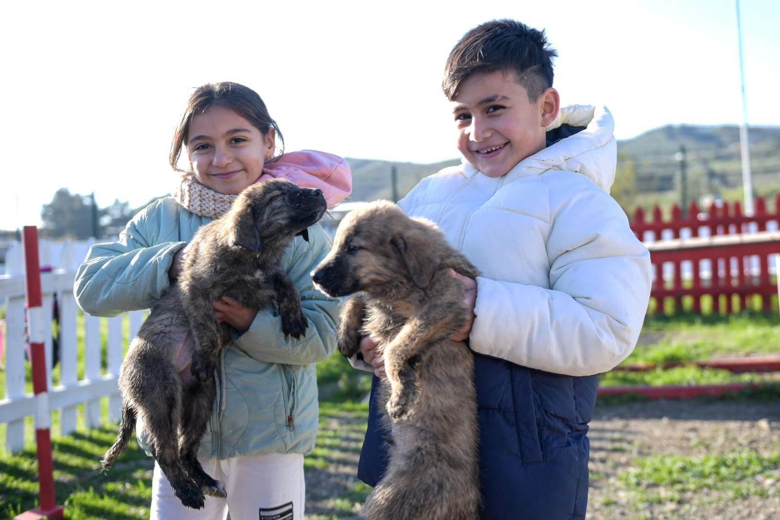 İzmir'de 'Patili Dostumuz' projesi kapsamında çocuklar ve aileler hayvanlarla etkileşimde bulunuyor.