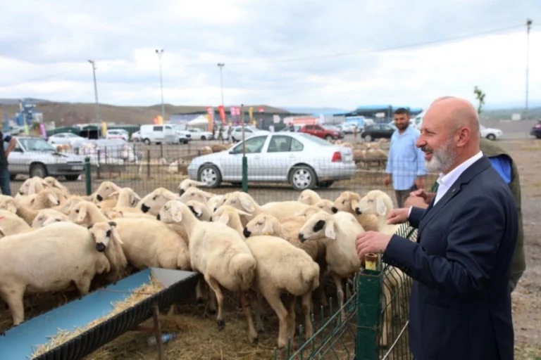 Kocasinan Belediyesi Kurban Bayramı hazırlıkları kapsamında modern kurban kesim ve satış alanı