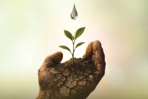 İzmir Köy Tiyatroları Festivali kapsamında sahnelenecek oyunlardan bir kesit