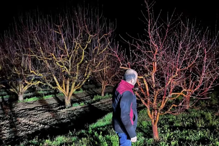 Tarım arazilerinde zirai don tehlikesi