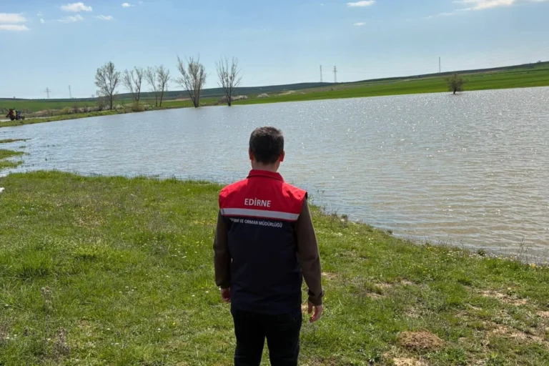 İç sularda sazan ve yayın balığı av yasağına ilişkin görsel