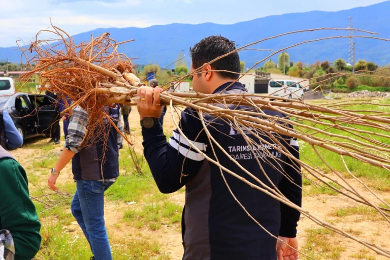 İzmir Büyükşehir Belediyesi'nden Beydağ'da ipekböcekçiliği ve kestane üretimine destek