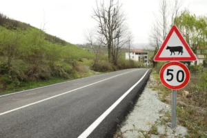 Ordu'da tamamlanan yollarda trafik güvenliğini artırmaya yönelik yeni işaretlemeler ve yol çizgileri