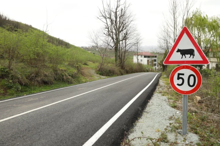 Ordu'da tamamlanan yollarda trafik güvenliğini artırmaya yönelik yeni işaretlemeler ve yol çizgileri
