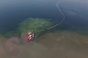 İzmit Körfezi'nde temizlenen dip çamuru sonrası yunusların ve diğer deniz canlılarının geri dönüşünü gösteren çevre projesi