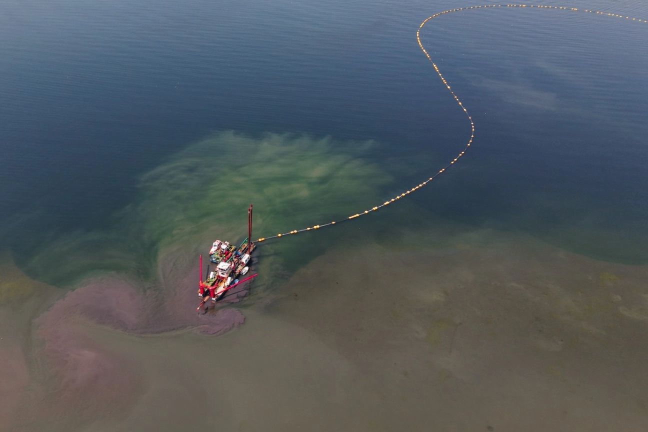 İzmit Körfezi'nde temizlenen dip çamuru sonrası yunusların ve diğer deniz canlılarının geri dönüşünü gösteren çevre projesi