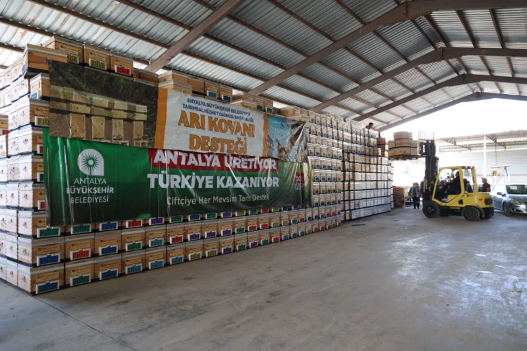 Antalya Büyükşehir Belediyesi'nden arıcılara polen tuzaklı kovan desteği