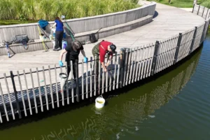 İzmit Millet Bahçesi göletinde ekolojik dengeyi sağlamak amacıyla yürütülen bilimsel çalışmalar
