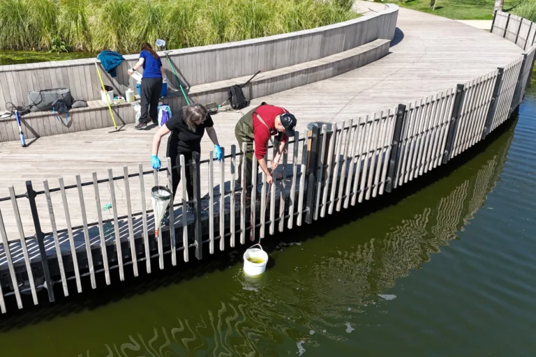 İzmit Millet Bahçesi göletinde ekolojik dengeyi sağlamak amacıyla yürütülen bilimsel çalışmalar