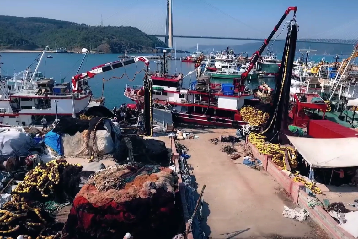 2025-2026 sezonu hamsi avcılığında 245 bin tonla rekor seviye