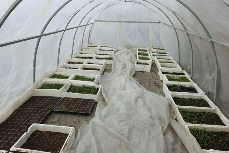 Kayseri Büyükşehir Belediyesi Doğal Ürünler Pazarı'nda yeni sezon hazırlıkları sürüyor