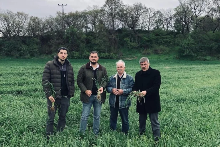 Keşan'da artan yağışların tarımsal ürünlere etkisi ve artan hastalık riski