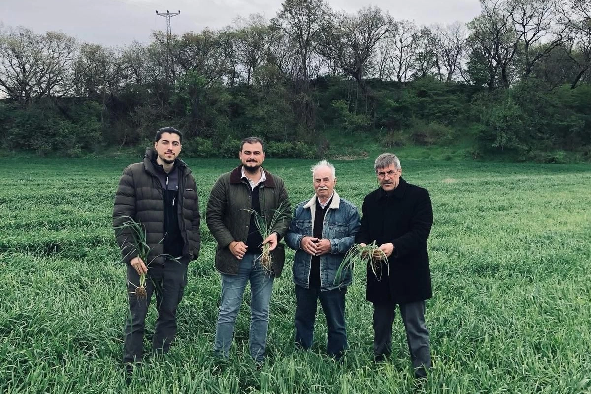 Keşan'da artan yağışların tarımsal ürünlere etkisi ve artan hastalık riski