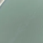 İzmir Körfezi'nde Alaybey Tersanesi yakınında tespit edilen yakıt kirliliği