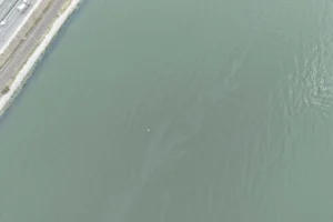 İzmir Körfezi'nde Alaybey Tersanesi yakınında tespit edilen yakıt kirliliği