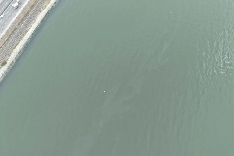 İzmir Körfezi'nde Alaybey Tersanesi yakınında tespit edilen yakıt kirliliği