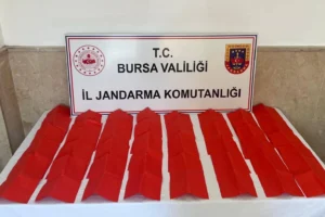 Bursa'da jandarma ekipleri tarafından sentetik uyuşturucu operasyonu yapıldı, çok sayıda içimlik uyuşturucu ele geçirildi.