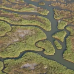 Gediz Nehri'ndeki artan kirlilik durumu ve olası çevresel etkileri