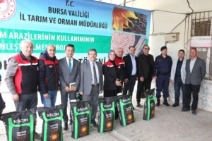 Bursa'da ayçiçeği üreticilerine hibe destekli tohum dağıtımı