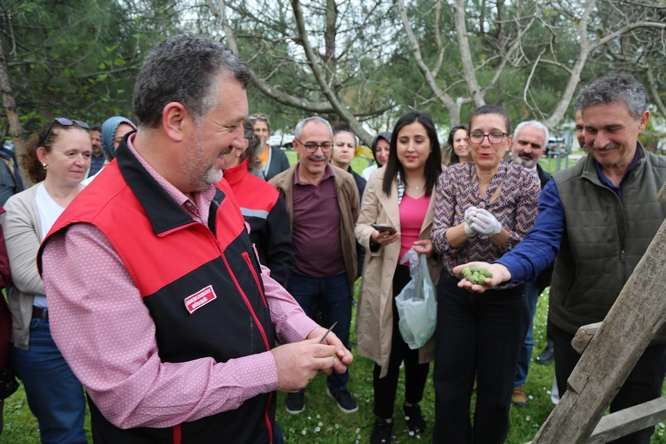 Bursa Siyahı incir kalitesini korumak için denetimler ve eğitimler artırıldı