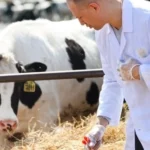 Tarımda girdi fiyatları ve veteriner harcamalarındaki artışa dikkat çeken grafik