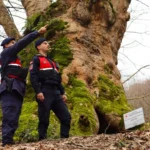 Yalova İl Jandarma Komutanlığı ekipleri turizm bölgelerinde güvenlik denetimi yapıyor.